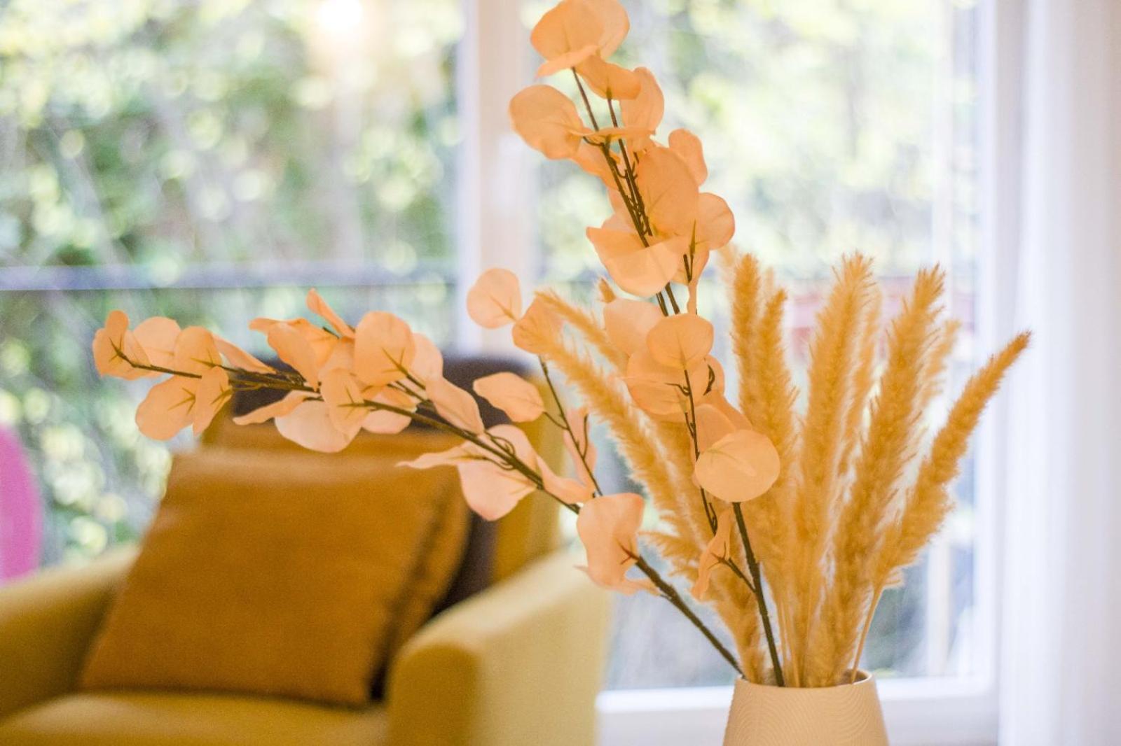 Appartement Cosy 또농-레-방 외부 사진